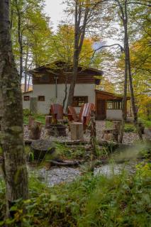 Cabaña SUR en Llanos del Castor - Ushuaia - 1