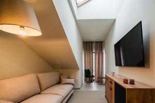 Apartament Park Zdrojowy 13 -NOWOŚĆ - Rabka-Zdrój - 0