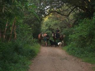 Treehouse amazing place - Nicoya - 5