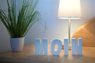 Moderne Fewo "Waschküche" direkt am Elbdeich bei Moldenhauer - 3