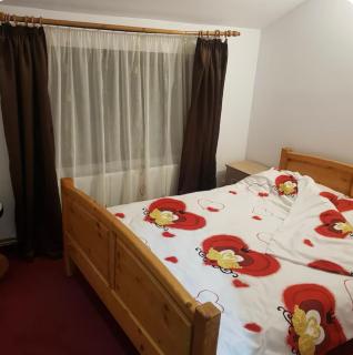 Apartament Casa cu Flori de Munte - Buşteni - 4