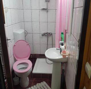 Apartament Casa cu Flori de Munte - Buşteni - 1