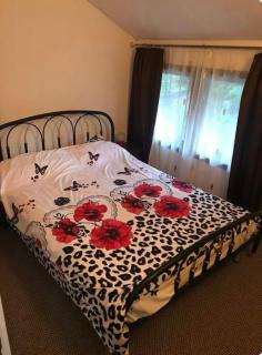Apartament Casa cu Flori de Munte - Buşteni - 3