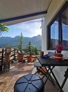 Apartament Casa cu Flori de Munte - Buşteni - 6
