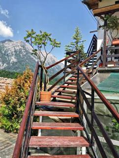 Apartament Casa cu Flori de Munte - Buşteni - 5