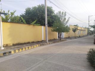 Paloemango Tocaima - Tocaima - 0