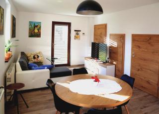 Weiss Sport & Relax Apartment - Rečica ob Savinji - 3