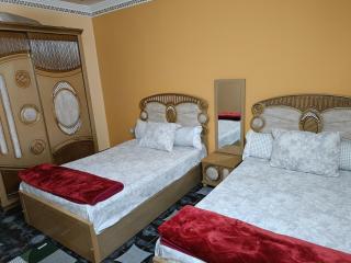 Ultra superlux furnished apartment 24h security - Il Cairo - 7