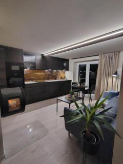 Comfort Apartment in Lone Only 20 minutes away from the heart of the city! - Bergen - 9