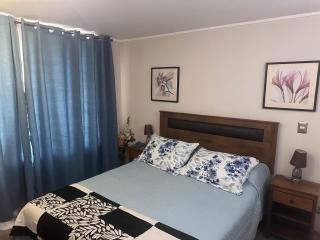 Cómodo Departamento en Santiago - 6