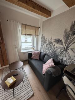 Apartament Centro 9 - Leszno - 9
