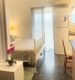 bluesky apartment - Palaia Fokaia - 7