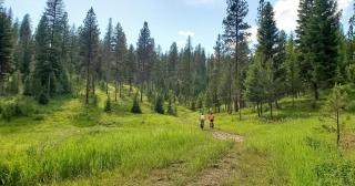 The Stargazer A-frame Cabin with Mtn View, Hot Tub - 6