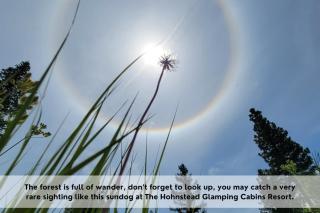 The Shed w Garden Views, pet friendly, Hot Tub - 7