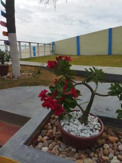 Chalés Luz do Luar - 7