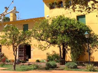 Mansion in Riudoms with garden - Riudoms - 2