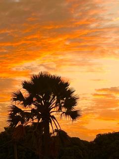 Jummaneh Studio Apartment - 8