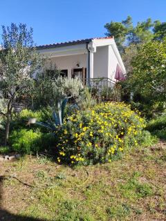 Seaside holiday house Maslinica, Solta - 23755 - Grohote - 5