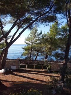 Seaside holiday house Maslinica, Solta - 23755 - 1