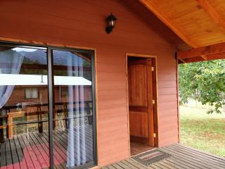 Cabaña caburgua un ambiente - 8