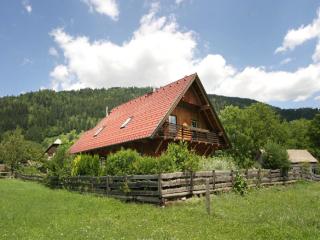 Chalet in Styria with infrared sauna - Stadl an der Mur - 5