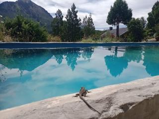 EL Mirador-Casa Ciprés - Bariloche - 1