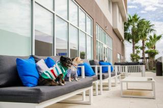 Courtyard by Marriott Hermosillo - 4