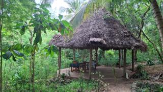 yasmin ecohouse zanzibar - Kizimkazi - 9