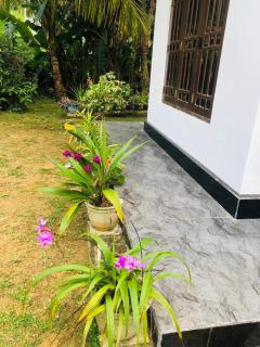 Nelum Riverside Villa - Ahangama - 9