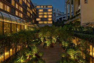 The Singapore EDITION - 7