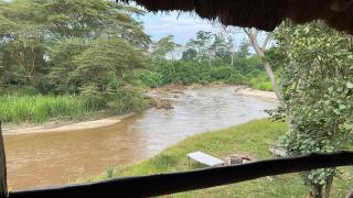 At The River Lodge - Kanungu - 2