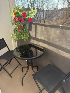 Apartament centrum - 2