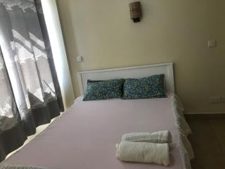 Comfy and spacious one bedroom - 0