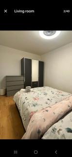 South West London semi-detached House - 2