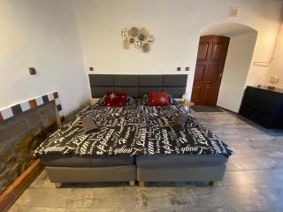 Vila Lucia - Apartmán 2 - Plzeň - 9