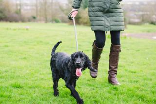 Cricklade House Hotel, Sure Hotel Collection by Best Western - 4