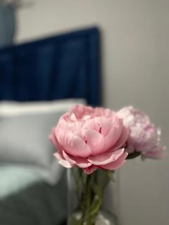 Elegante_Stay - Otse - 7