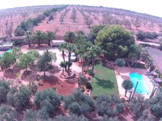 Finca Los Olivos - Grupo Berna - 5