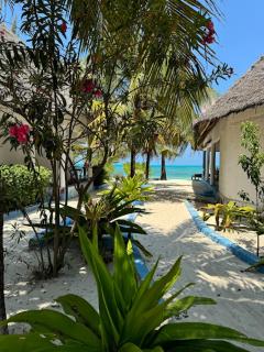 Oasis Beach Inn - 7