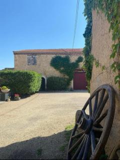 Gite au cœur des vignes - 8