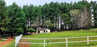 Silver Mist Resort, Haenertsburg - Haenertsburg - 8