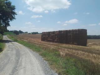 Châlet en Gascogne - 4