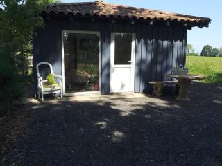 Châlet en Gascogne - Vergoignan - 3