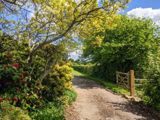 Keeper’s Cottage - Montacute - 6