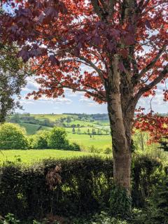 Keeper’s Cottage - Montacute - 1