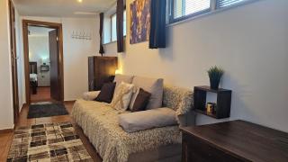 Bansko Prespa Ski Penthouse - Bansko - 8