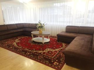 SMILČIŲ apartamentai PALANGOS CENTRE - Palanga - 8