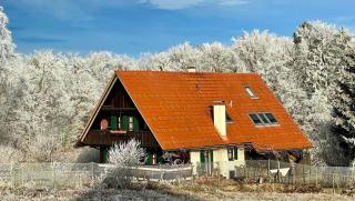 Ferienhaus Neubauer - Spielfeld - 0