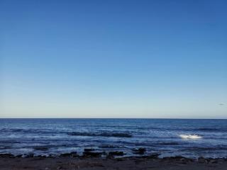 SMILČIŲ apartamentai PALANGOS CENTRE - 2