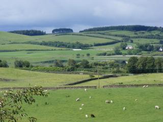 Airds Farm Guest House - 2